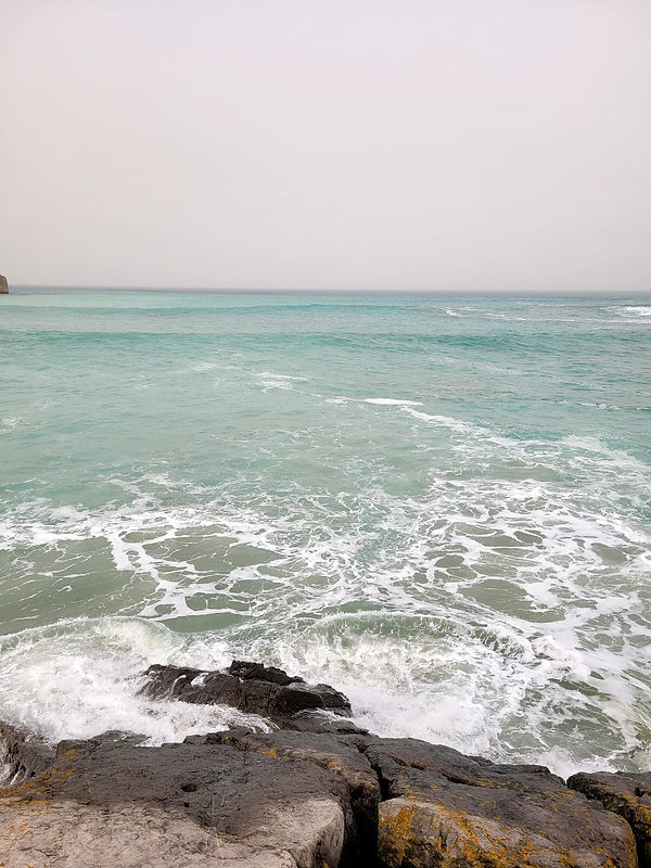 WhatsApp Image 2022-03-18 at 5.58.37 AM (1).jpeg