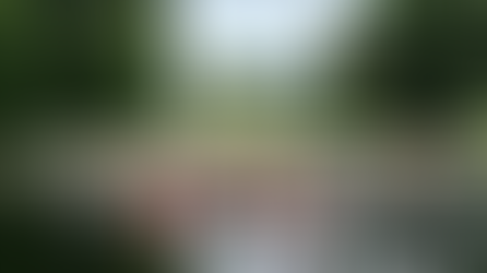 Dragon Boat Race returns to Leeds this weekend as donations near £850,000