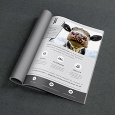 TH Creative | Handpicked Local