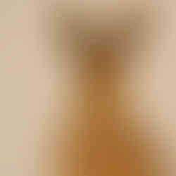 Artists Around Wetherby 2023