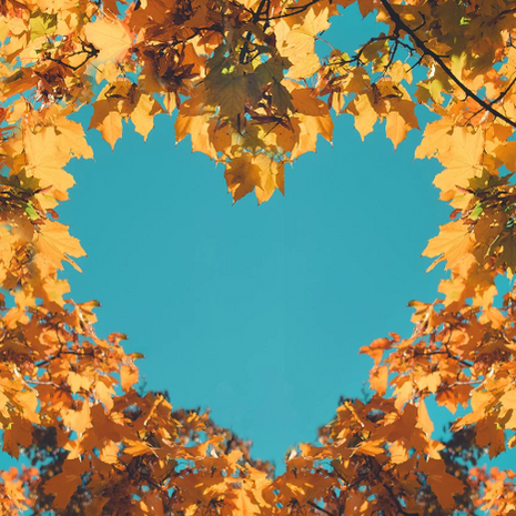 Autumn Wellness: Keeping the Family Healthy as Temperatures Drop