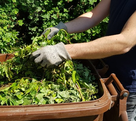 Brown bin collections to start up again in April