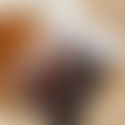 The Spring Reset Issue with Handpicked Local - Our March Issue is OUT NOW!