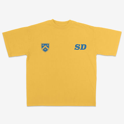 Mock-It-Velour Garments 300 GSM T-Shirt.jpeg