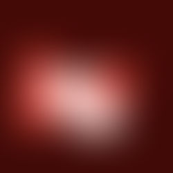 WHAT IS A WHITE PAPER?