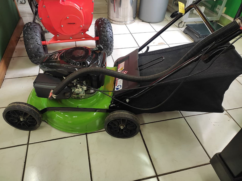 Miniatura: Cortadora de Cesped Yardbeast P321K - 21.0"