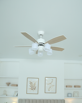 Untitled design (8).png