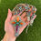 Miniature : SET - Multi-Stone Cluster Pendant & Necklace Handmade by Navajo Albert Jake