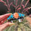 Thumbnail: Old Kingman & Orange Spiny Stamped Scalloped Cuff 2 Handmade Navajo Happy Piasso