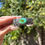 Thumbnail: S Royston Turq Fan Conch Accent Sterling Cuff Handmade by Navajo Tsosie White