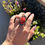 Thumbnail: Natural Red Spiny Oyster Shell Heavy Gauge Ring Handmade by Navajo Albert Jake
