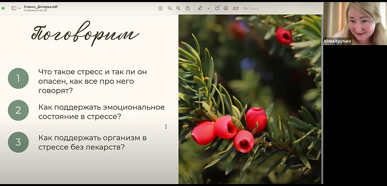 Доттера стресс