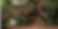 AOLIFE Banner Size.png