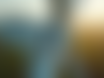 Enhancing Safety with Aerial Inspections