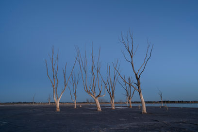 Safari Fotográfico en Epecuén con PhotoART
