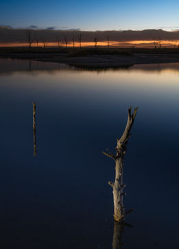 Safari Fotográfico en Epecuén con PhotoART