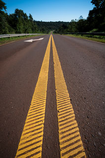 Safari PhotoART a la Selva Misionera