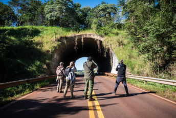 Safari PhotoART a la Selva Misionera
