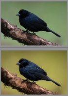 Captura de Pantalla 2022-06-30 a la(s) 23.19.15.png