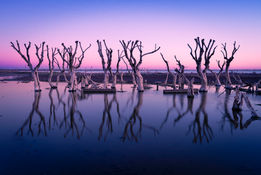 Safari Fotográfico en Epecuén con PhotoART