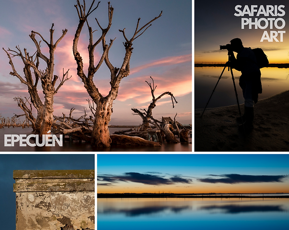 Copia de Copia de Plantillas Safaris (1080 × 860 px).png