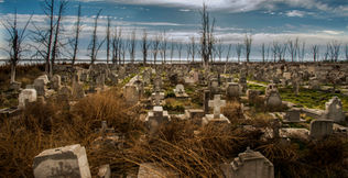 Safari Fotográfico en Epecuén con PhotoART