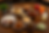 ChatGPT Image May 15, 2026, 10_30_34 AM.png