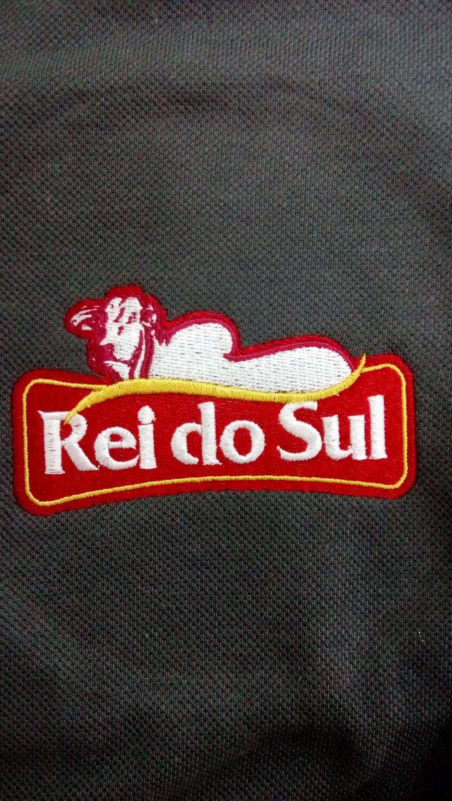 Logo Rei do Sul