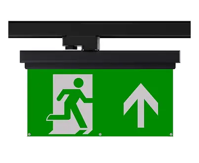 Emergency light fitting for escape route illumination