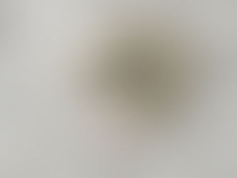 fire alarm smoke detector is activated during a fire