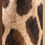 Thumbnail: Giraffe Classic Silk Scarf