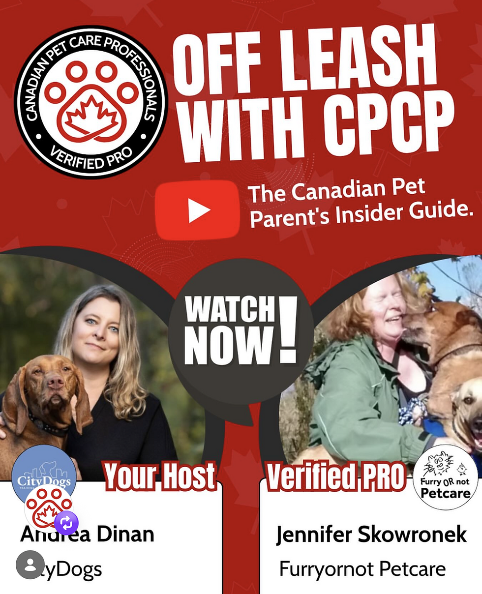 Off Leash with CPCP YouTube Video