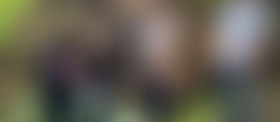 Hazelwood Greenway project a finalist for UN climate change award | The Homepage