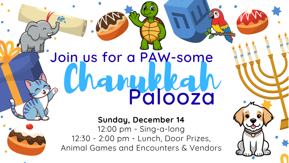 PAW-some Chanukkah Palooza