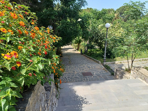 WhatsApp Image 2024-05-18 at 10.50.38.jpeg