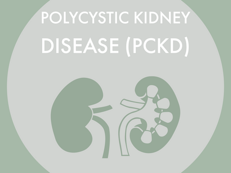 Polycystic kidney disease (PCKD)