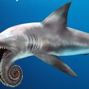 The Good, the Bad & the Ugly