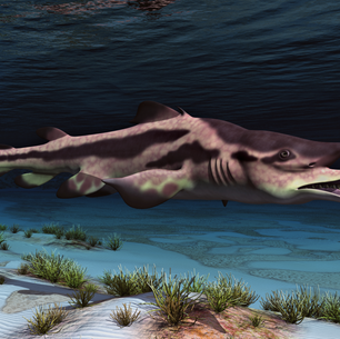 On The Origin of Species