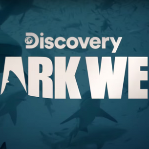 Is Shark Week Bad for Sharks?