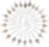 All 26 species of angel sharks have a dorsoventrally flattened body, similar to their batoid relatives, but they are true sharks (Diagram Credit: Weigmann et al, 2023)