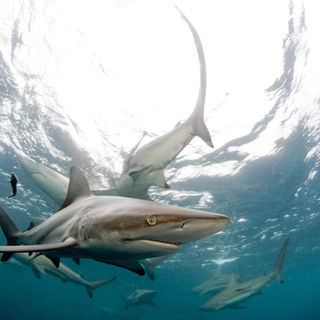 The Eye of the Storm