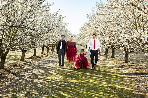 Blossoms Website Image.png