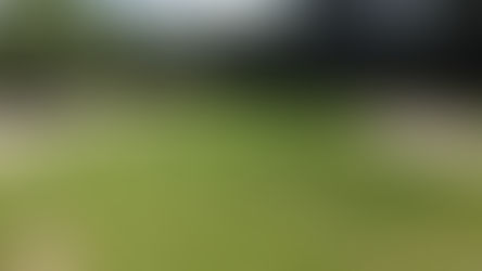 Top Tips for a Lush Lawn with Weekly Mowing