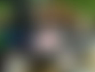 Bricolage Halloween en P3/P4