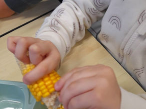 Activités en classe