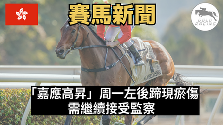 【影響輕微】「嘉應高昇」周一左後蹄現瘀傷 需繼續接受監察