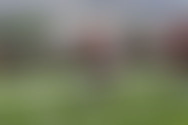 Ryan 重心場次分析 2020/10/04