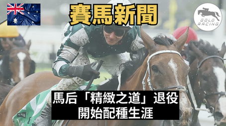 【退役配種】馬后「精緻之道」退役 開始配種生涯