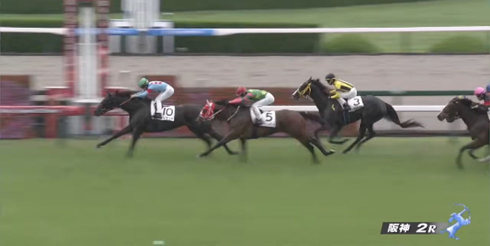 【六駒標尾會】良血馬Saliente打開勝門