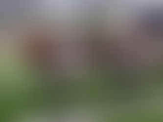 【澤西攻略】霸勝四班坐穩望嬴